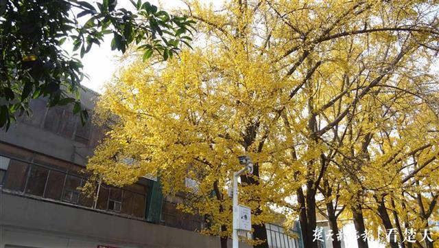 第2317页