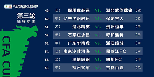 2024新澳三期必出一肖,高度协调实施_OPE49.653高效版