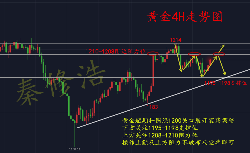 香港最新二四六开奖结果,灵活执行方案_FKB49.866多功能版