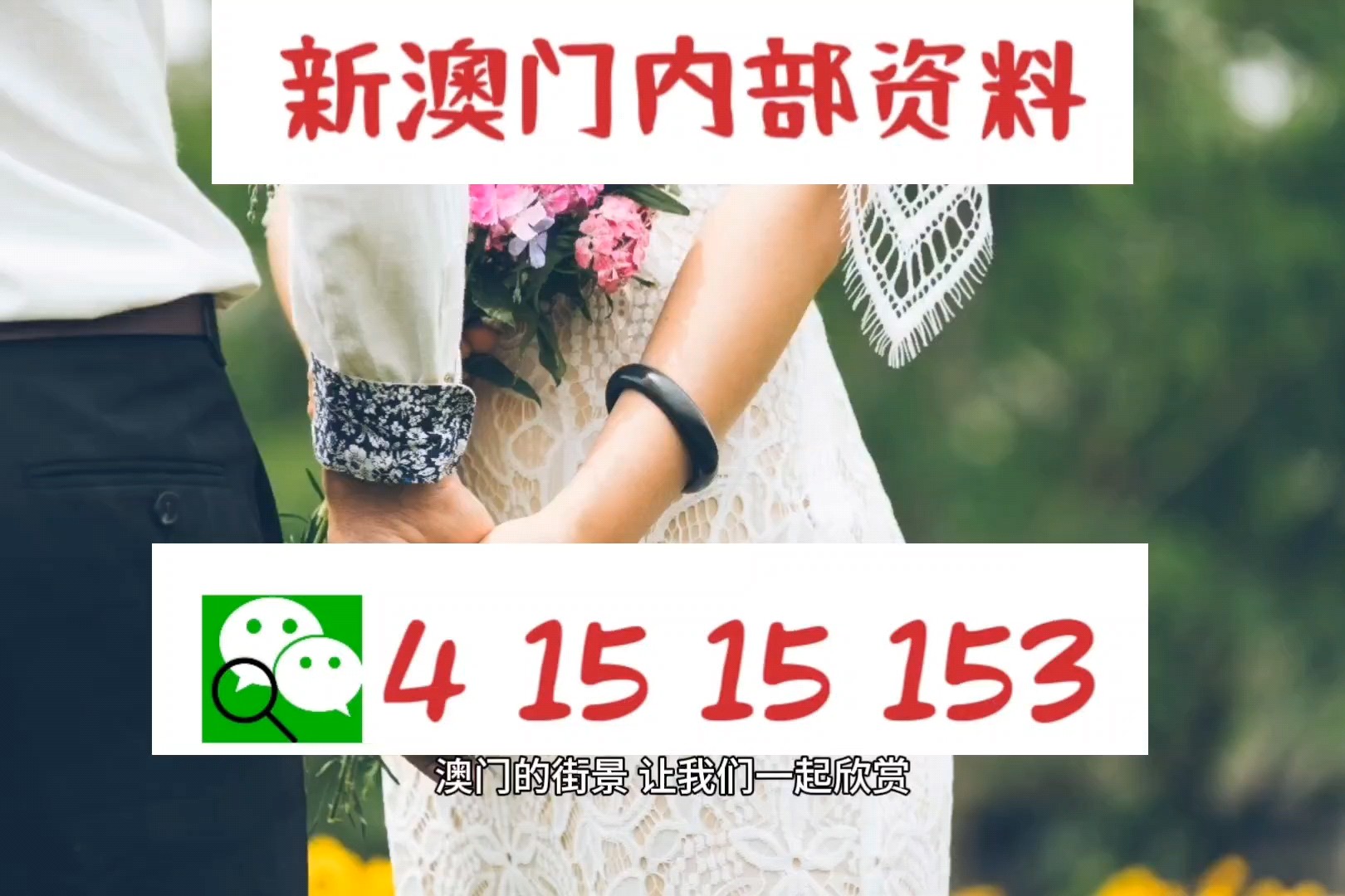 香港王749494开码结果,最新研究解读_QQR49.353紧凑版