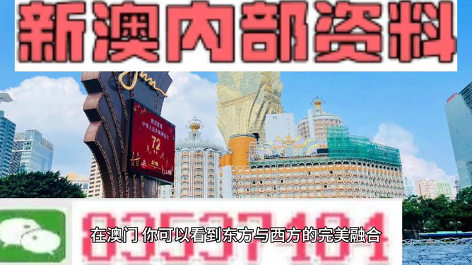 新澳2024年精准资料,行动规划执行_MAA49.527复古版