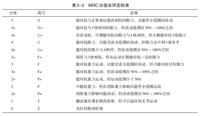 最新肌力分级标准，背景、发展与当下时代的重要性解析