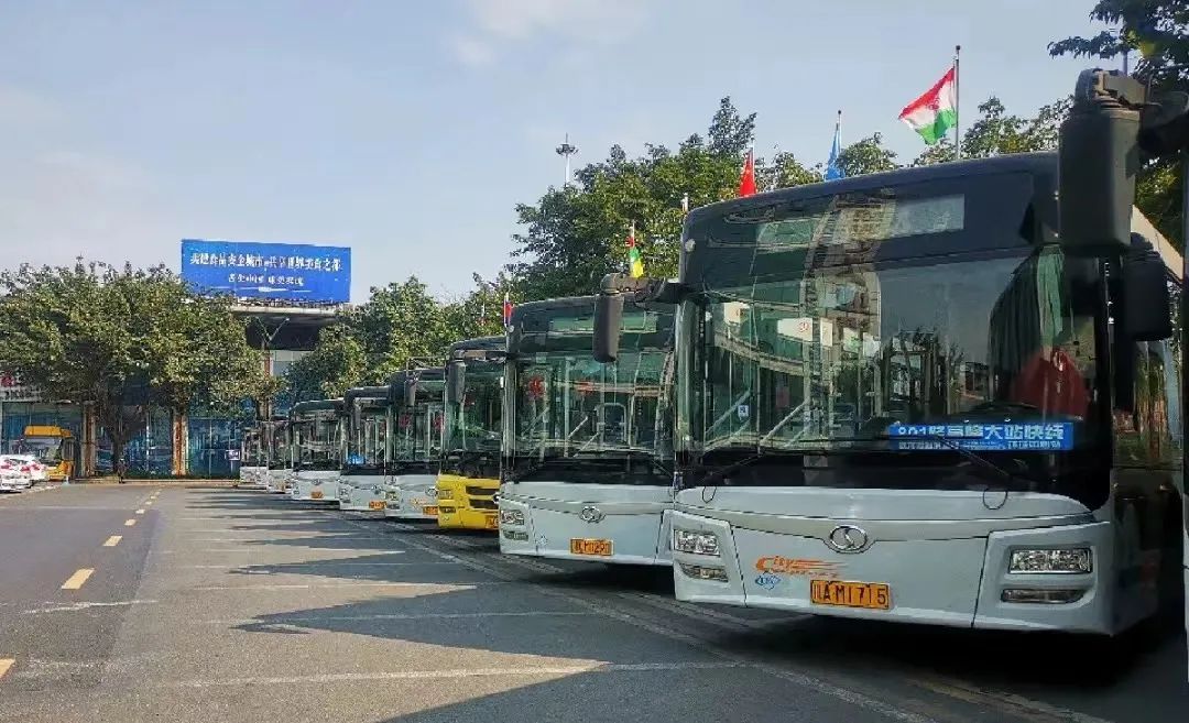双流区公交最新动态,启程探索自然美景之旅