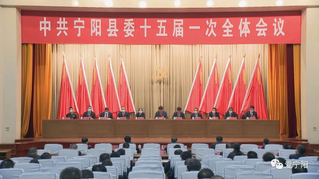 宁阳贴吧热议焦点，探寻李晓小巷神秘小店最新消息
