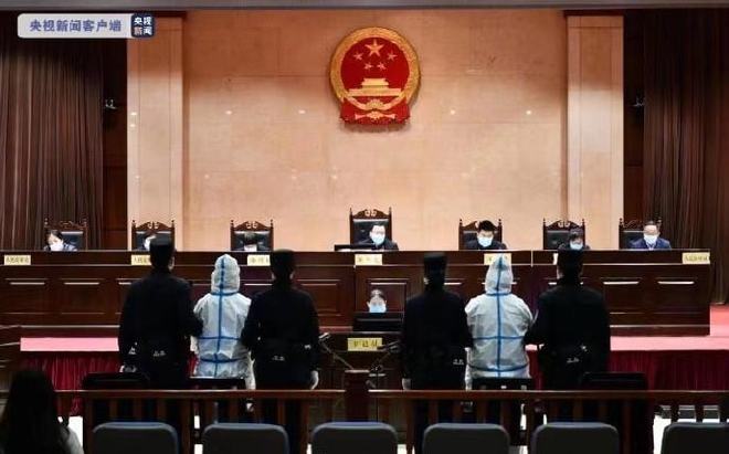 袁玉珠最新判决消息，刑期揭晓