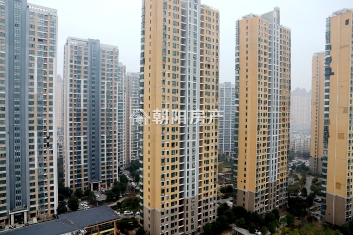 银鹭万树城最新动态揭秘，城市未来面貌展望