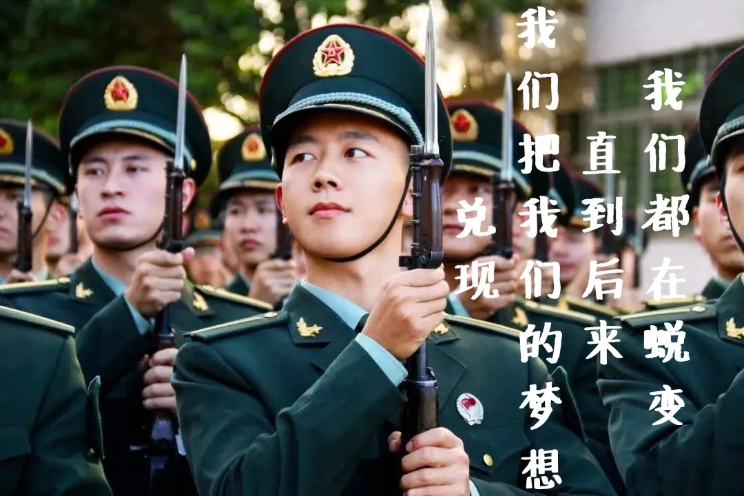 士官制度改革最新动态，报名指南与新制度适应策略