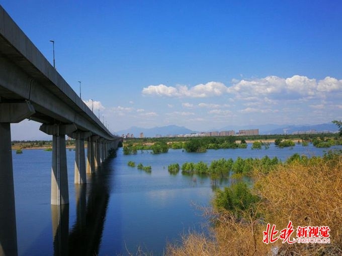 永定河大兴段最新动态更新