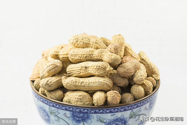 山东花生米最新收购价信息及指南
