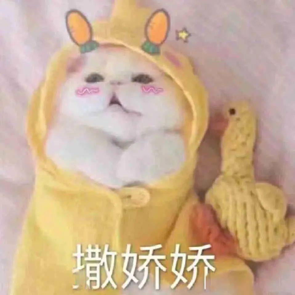 别惹我削你，86最新装备成就自信与成就感