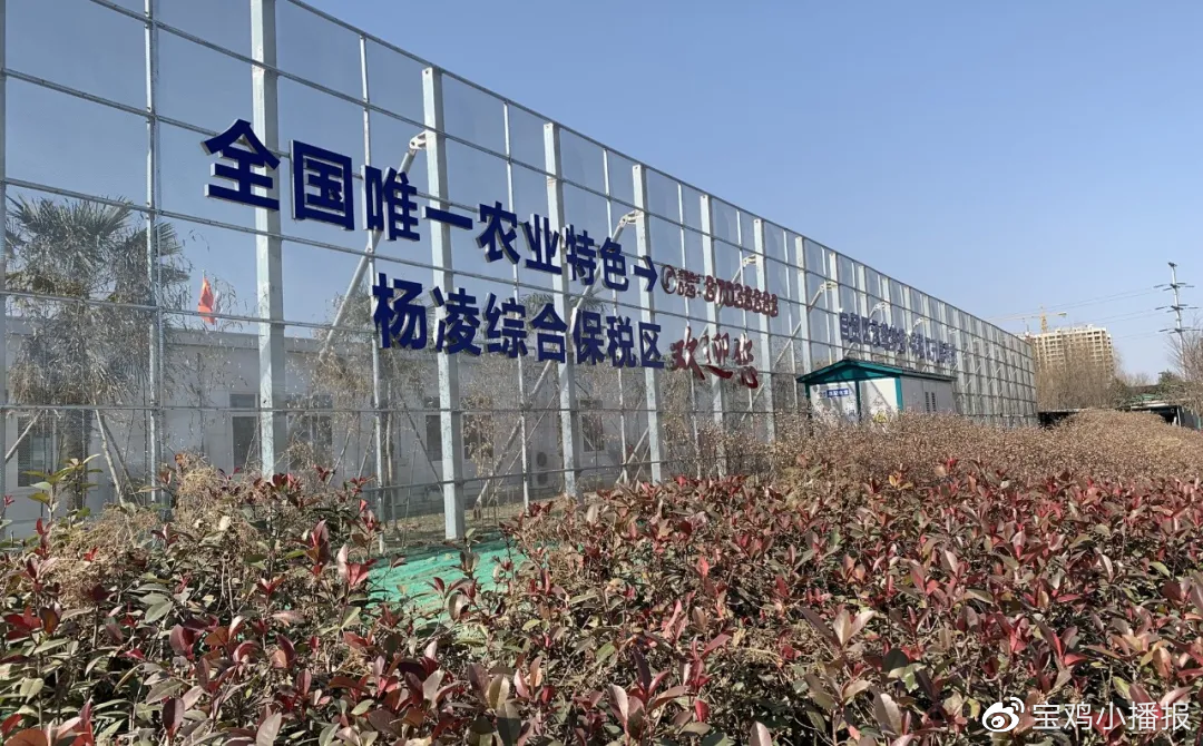 王台保税区科技前沿产品引领未来生活，最新消息汇总