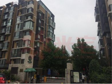 东洲家园自住房最新动态，科技引领生活新纪元