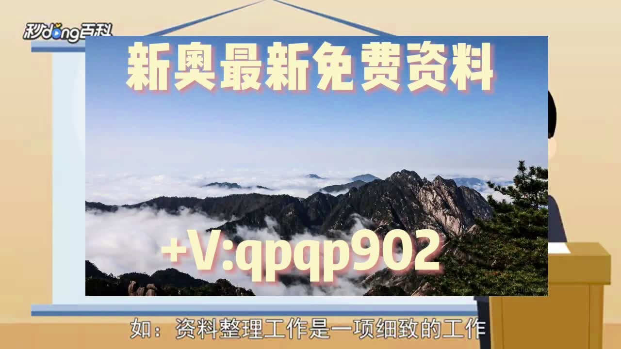 2024新澳正版最新免费资料大全,稳固执行方案计划_ZAH83.785创意版