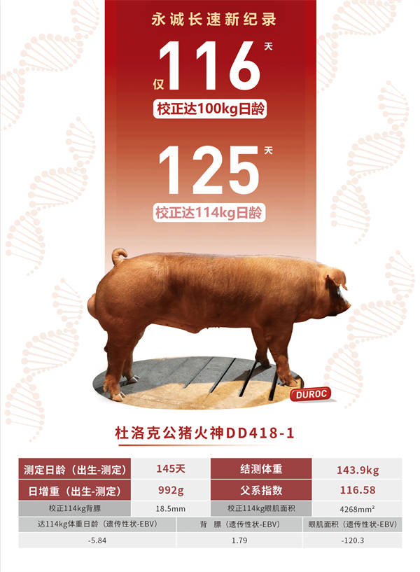 香港二四六最快开奖,全面性解释说明_LXB83.427随身版