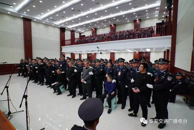 新泰张宸最新消息大全,初学者与进阶用户获取指南