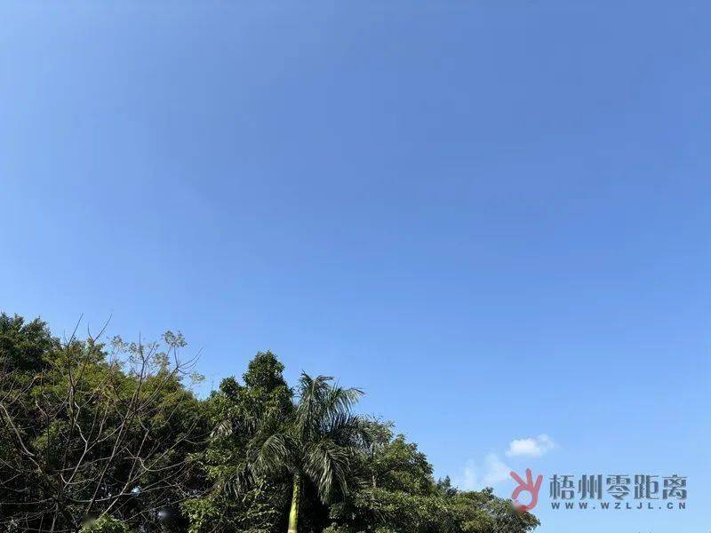 梧州冷空气最新消息更新