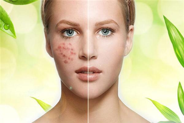 科痘窝资讯,科痘窝资讯,小窝里的欢乐日常