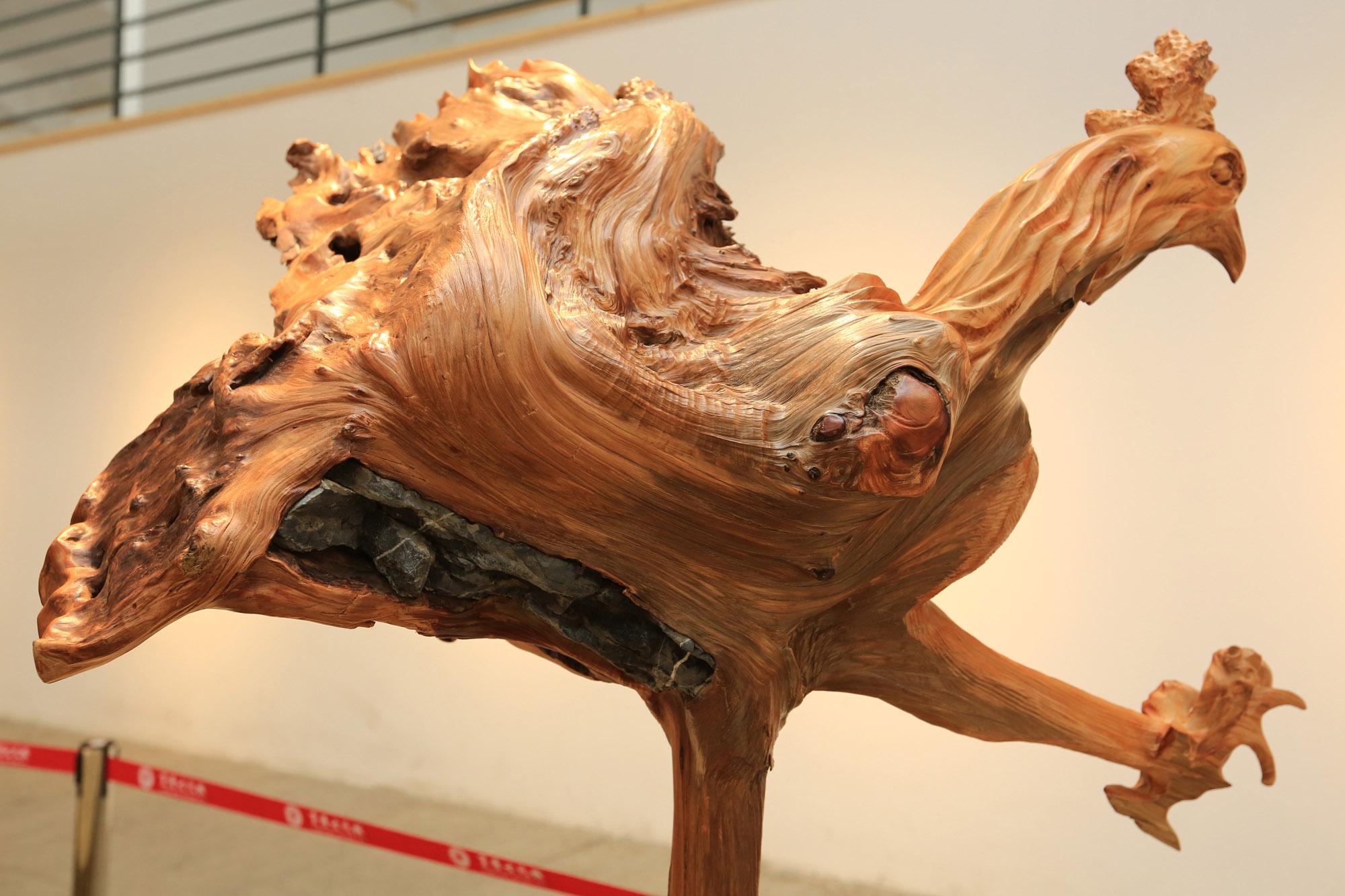 最新鸡种介绍,养殖新选择,引领行业潮流