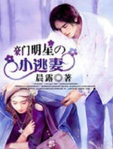 明星之路,流光溢彩的历程与影响小说集萃