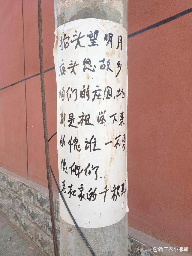 最新未过期广告语征集，学习成长，自信成就的力量之路