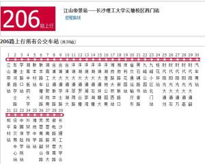 长沙206路公交车最新路线详解与分析