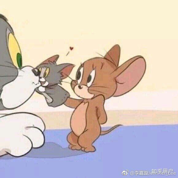 娶猫的老鼠最新作品揭秘，科技之巅的高科技产品介绍