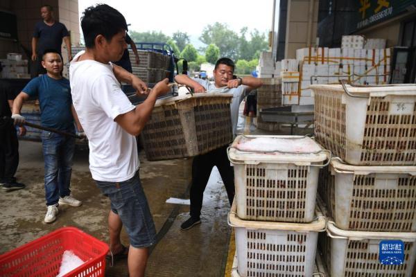 宿松新发地最新动态更新