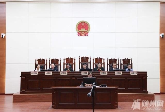 湖北广水最新新闻网,引领科技潮流,重塑生活体验新篇章