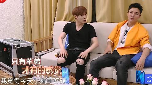 卧底最新计,日常趣事与友情的纽带之旅