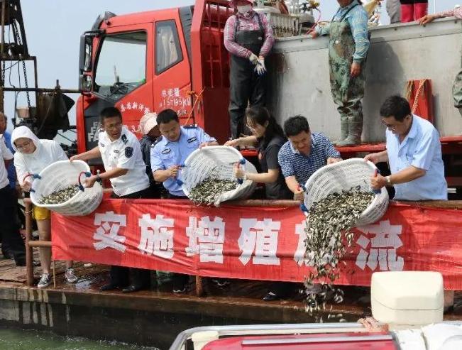 最新捕鱼群,娱乐方式还是道德伦理的挑战?