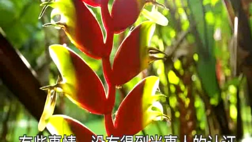 最新芥菜种，小巷深处的味觉盛宴