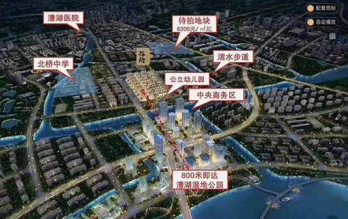 保健品 第9页