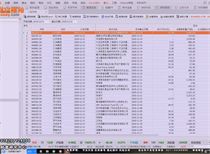 白酒 第606页