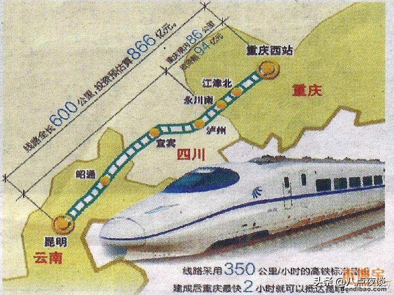 白酒 第510页