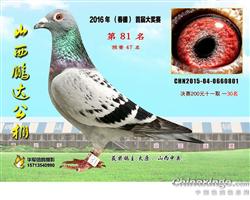 白酒 第507页