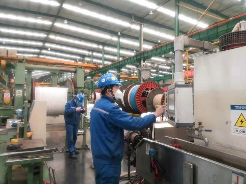 新泰鲁抗赛特最新招聘,探索小巷中的隐藏宝藏!