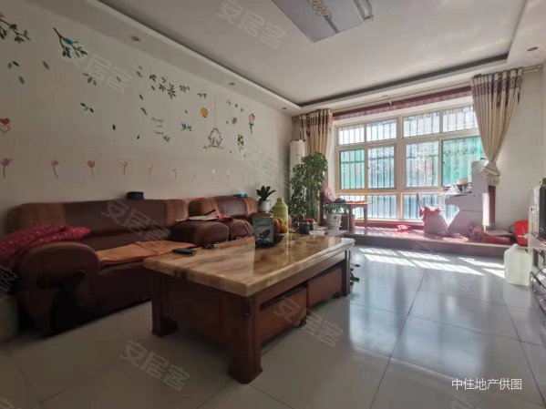保健品 第483页