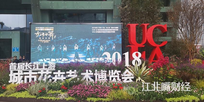 江北嘴世界花最新进展揭秘,小巷中的隐藏宝藏之花盛开在即