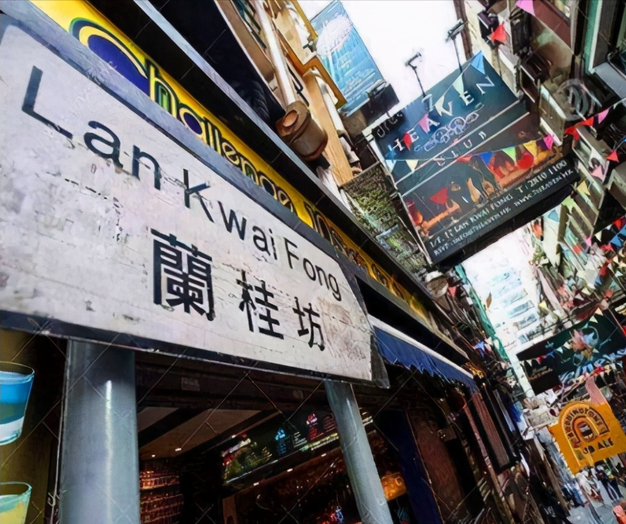 白酒 第487页