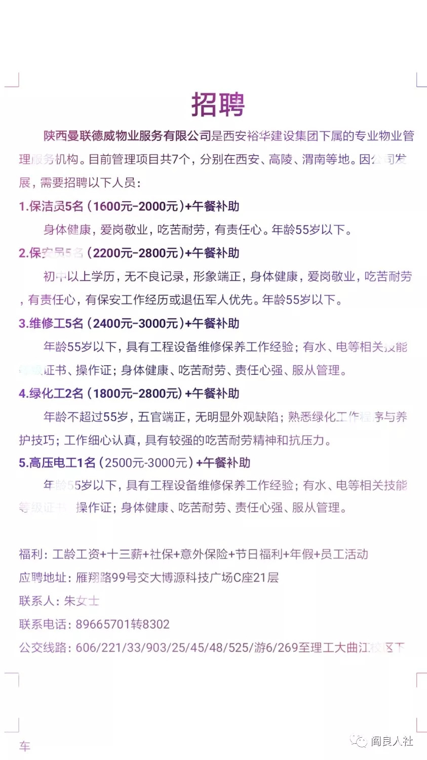 白酒 第484页