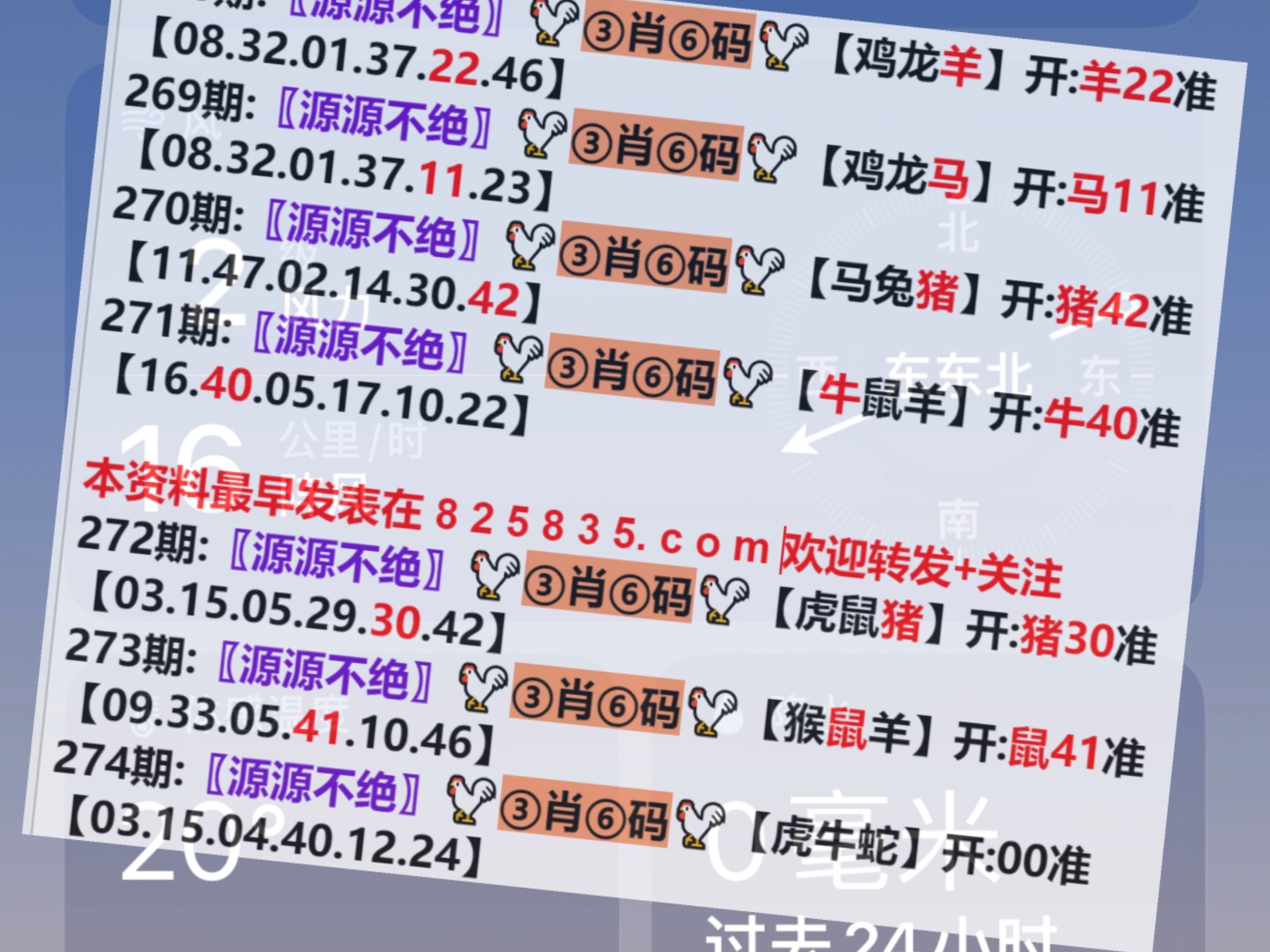 保健品 第443页