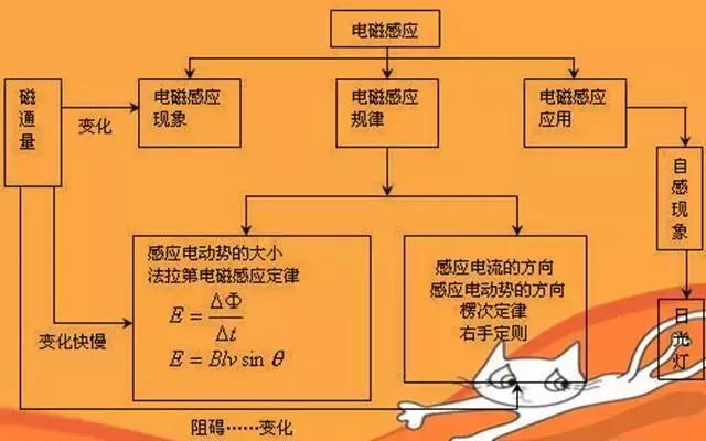 保健品 第392页
