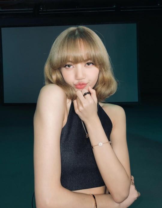 Blackpink新成员揭秘,独特魅力与音乐之旅的探寻