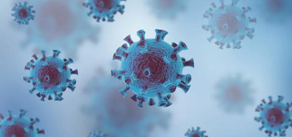 最新新冠灭活疫苗,启程自然美景的探险之旅