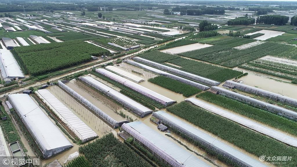 临沂台风最新更新，实时动态报告