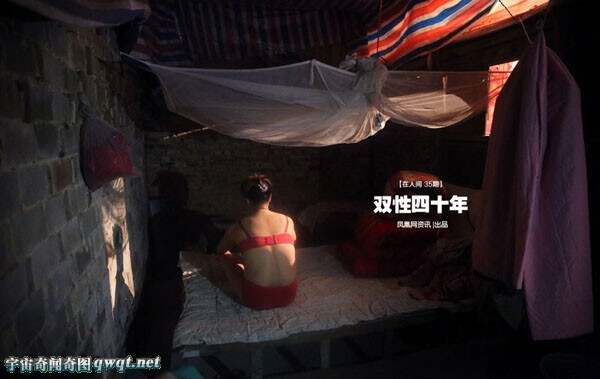 最新双性探索，点燃生命之光，自信翱翔于未知学习之旅