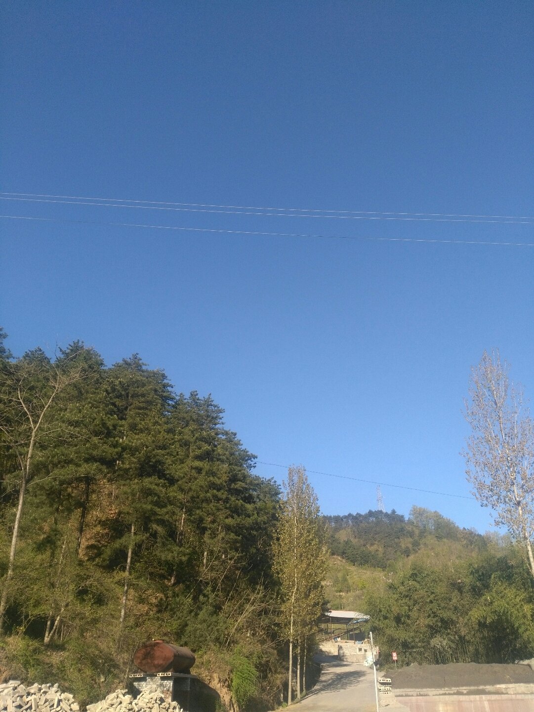 保健品 第111页