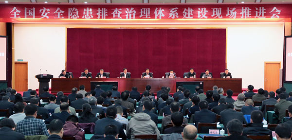 李兆前副局长最新动态揭秘，日常趣事与情感纽带探秘