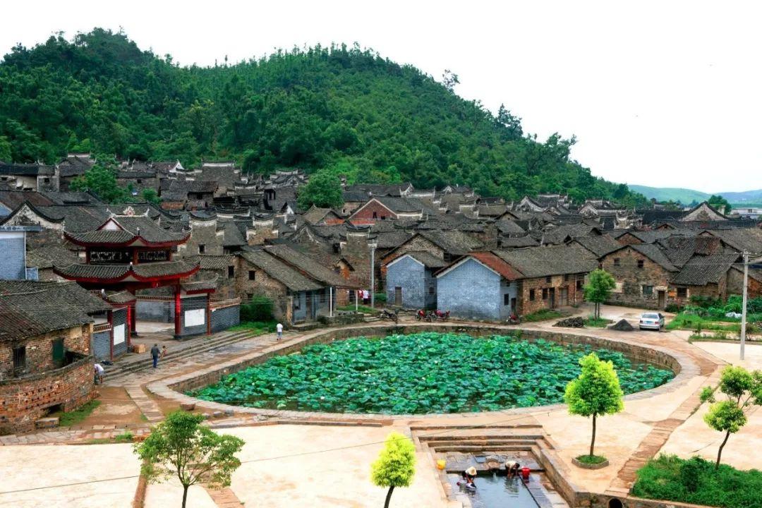 湘南大市场最新情况详解，市场更新指南