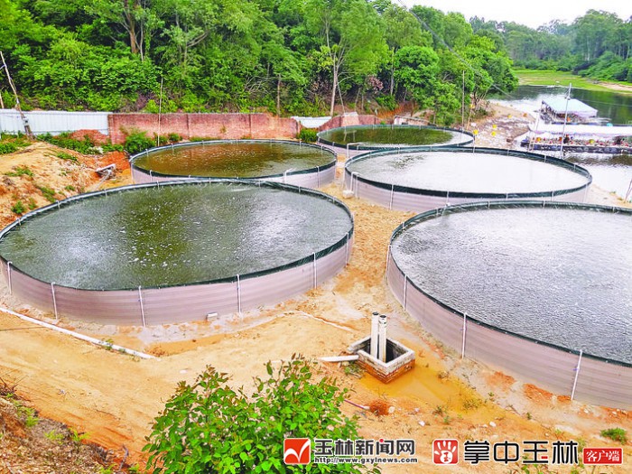 最新式高位池排污技术揭秘，绿色环保新选择！